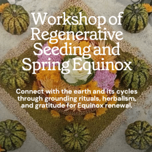 Workshop of Regenerative Seeding and Spring Equinox