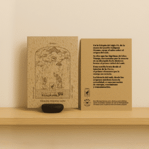 Kofi Elements - Terra